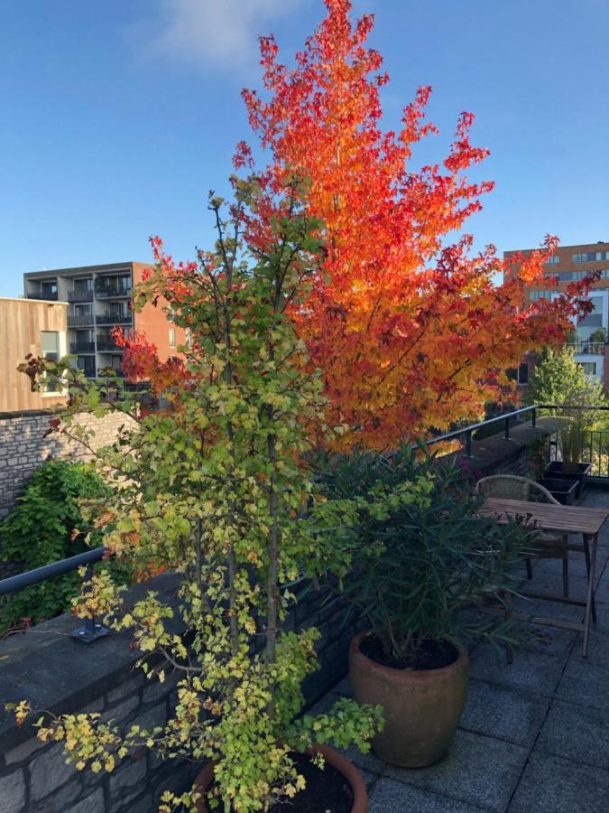 B&B De Zwanebloem Amsterdam Ngoại thất bức ảnh